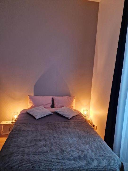 Cosy En Centre Avec Terrasse Apartment *