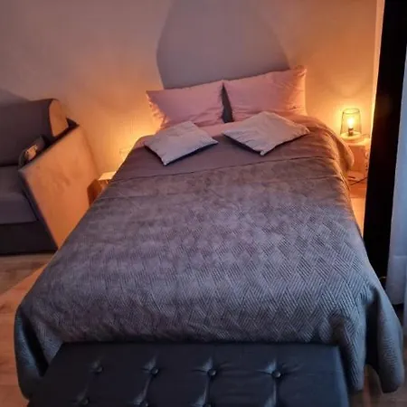 Spacieux appartement en centre ville avec terrasse Villefranche-sur-Saône Extérieur photo